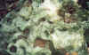 pթ.jpg (46063 Ӧ줸)