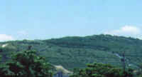 vLb̤s@