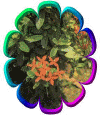 �G�P��