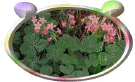 �����`�߯�