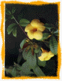 �n�K����
