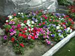 PICTU043.jpg