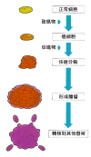 i1_1.gif (11105 �Ӧ줸��)