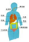 i1_2.gif (11306 �Ӧ줸��)