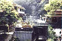 ʤȪ