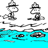 �e�y