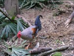 �ǳ����६�Y��