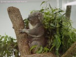 �L�����६�Y��